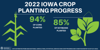 Planting Progress - May 31, 2022