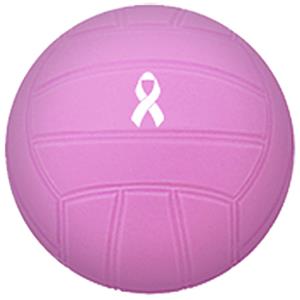 KWBG All Boone County Volleyball 2024